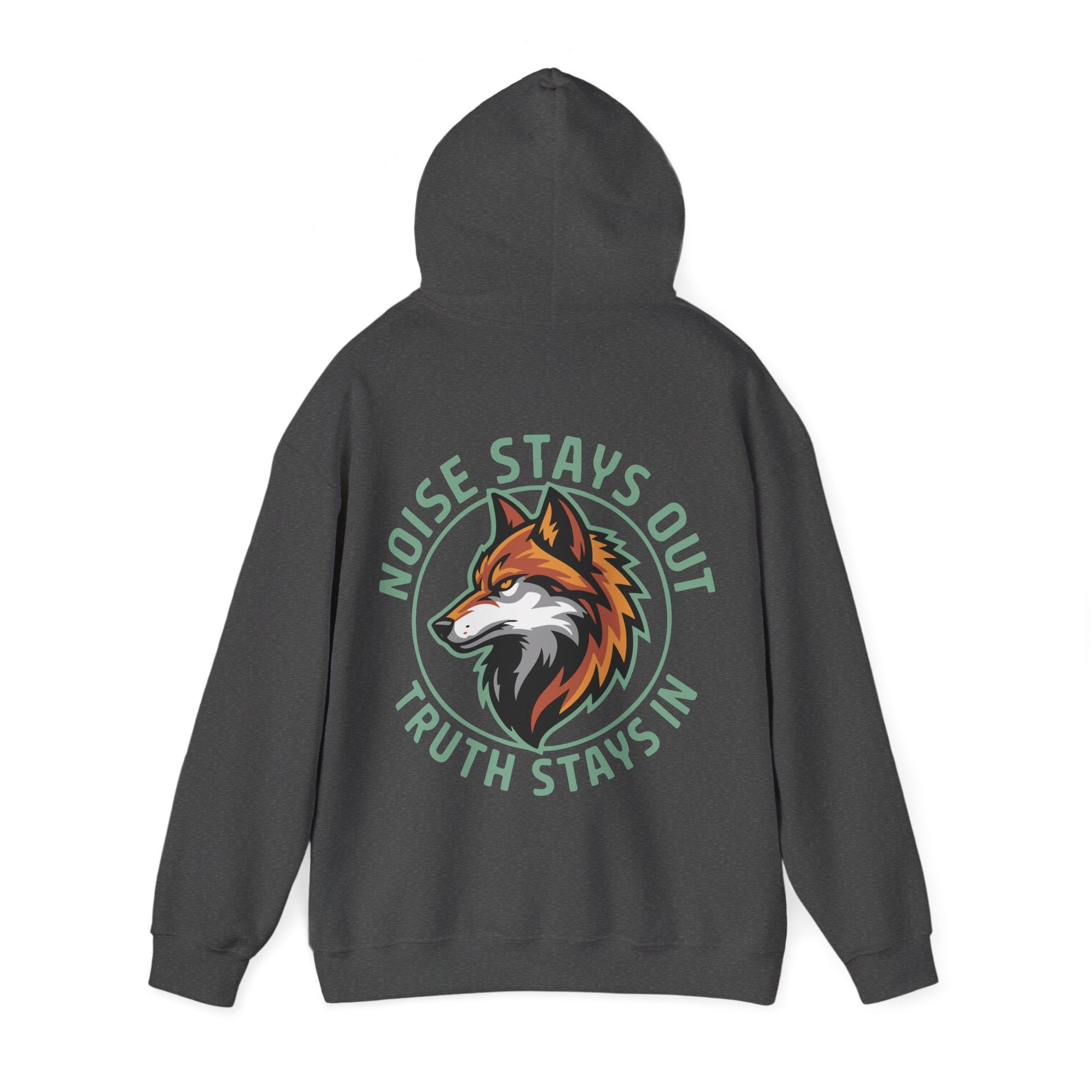 Unisex Heavy Blend Hoodie / NOISE STAYS OUT TRUTH STAYS IN