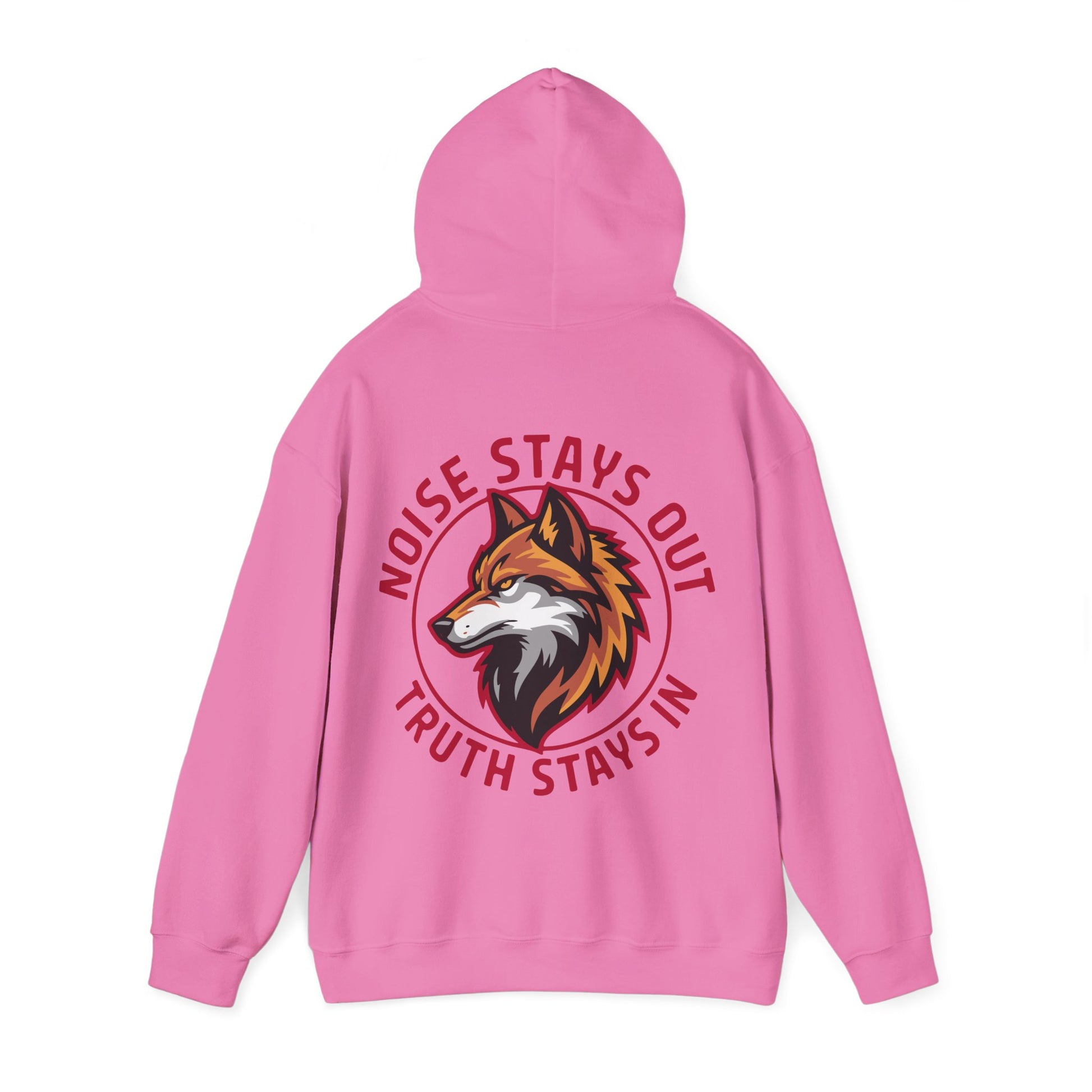 Unisex Heavy Blend Hoodie / NOISE STAYS OUT TRUTH STAYS IN
