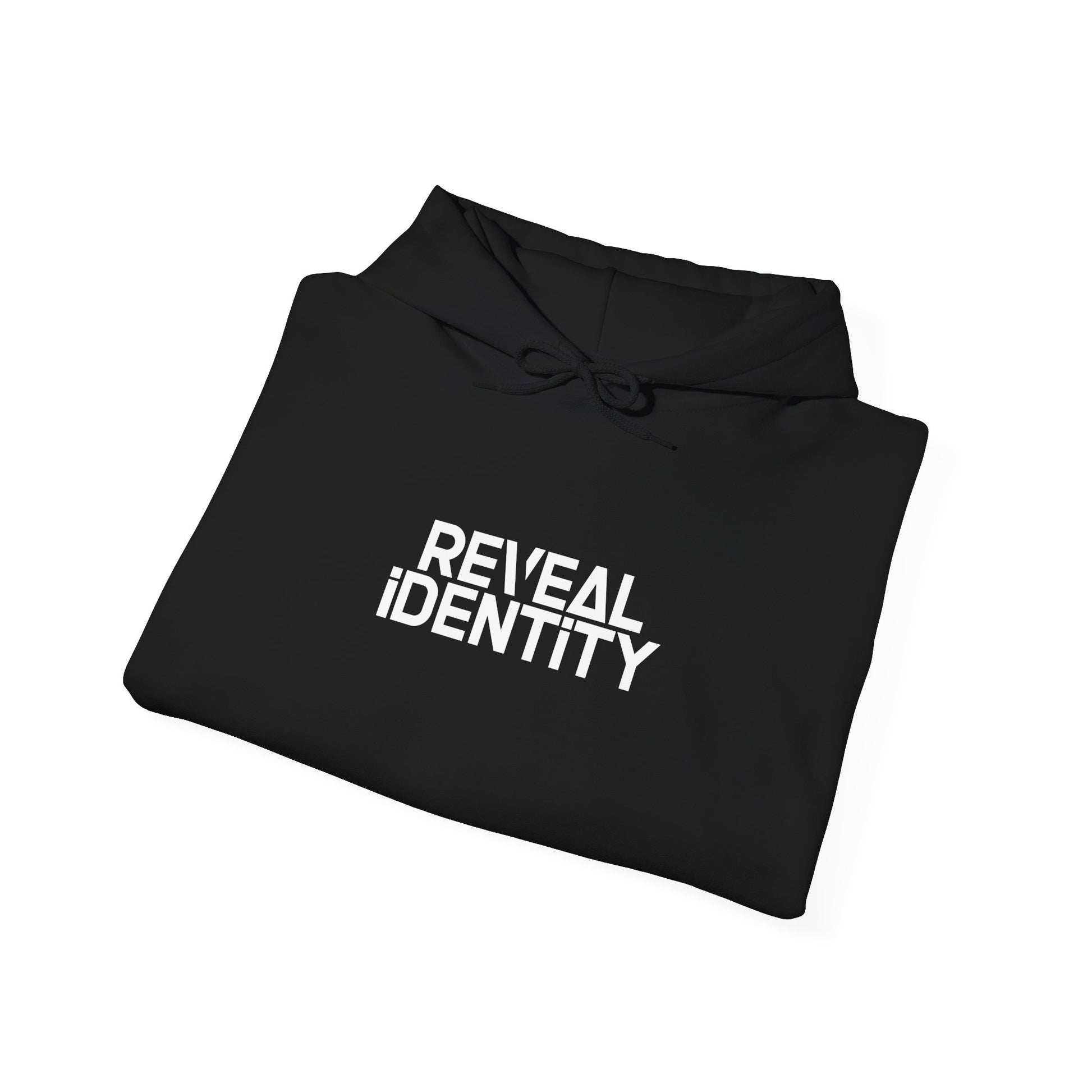 Unisex Heavy Blend Hoodie / NOISE STAYS OUT TRUTH STAYS IN