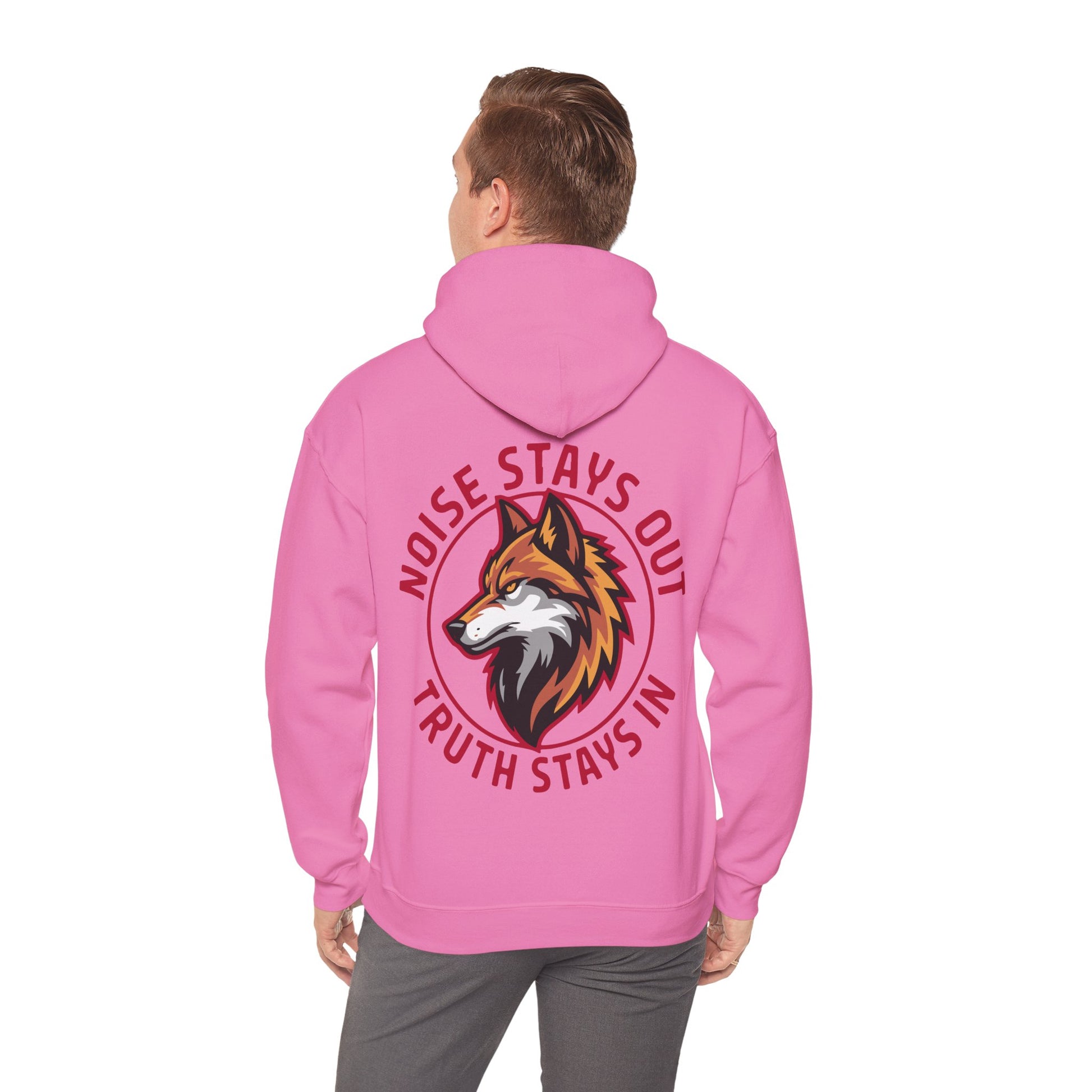 Unisex Heavy Blend Hoodie / NOISE STAYS OUT TRUTH STAYS IN