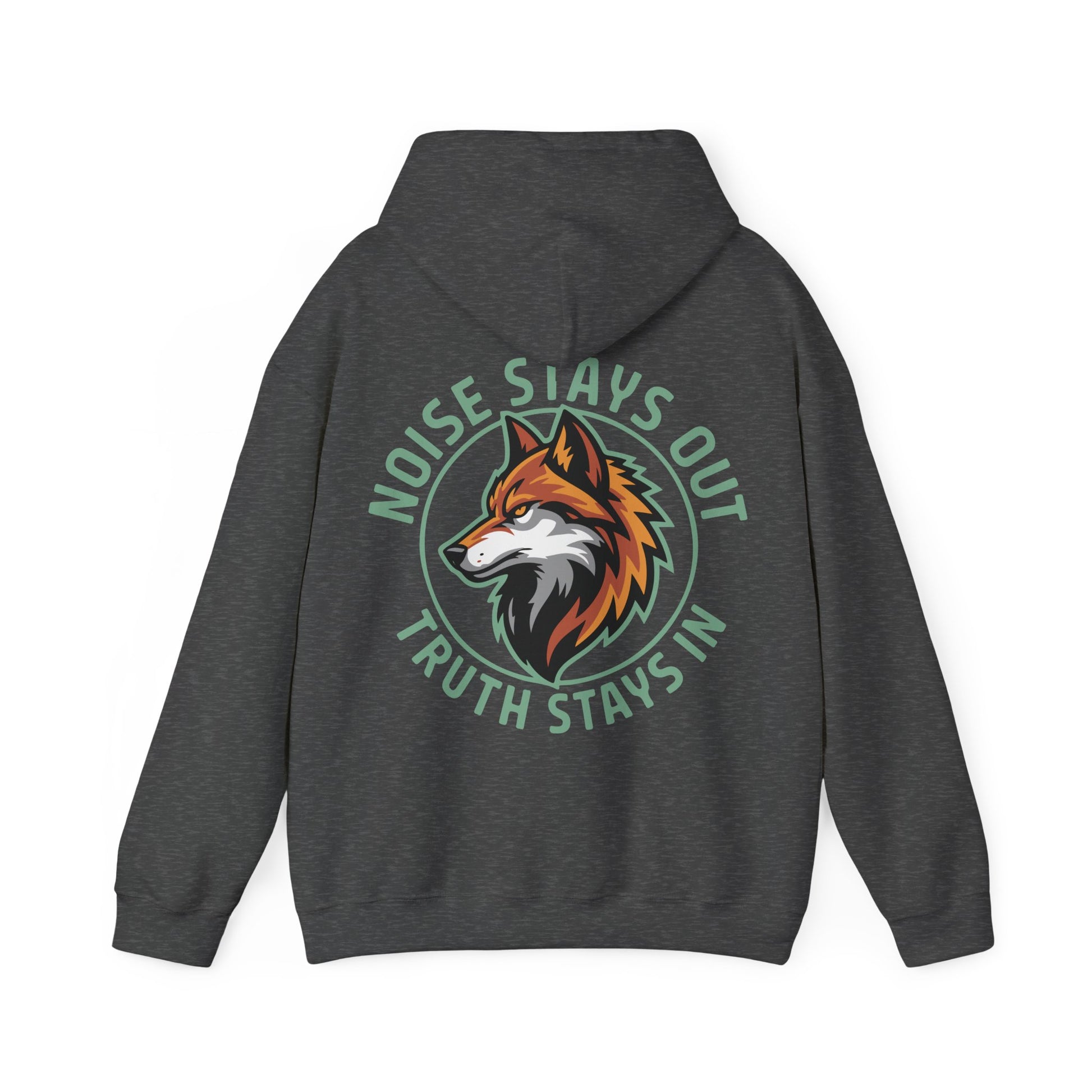 Unisex Heavy Blend Hoodie / NOISE STAYS OUT TRUTH STAYS IN